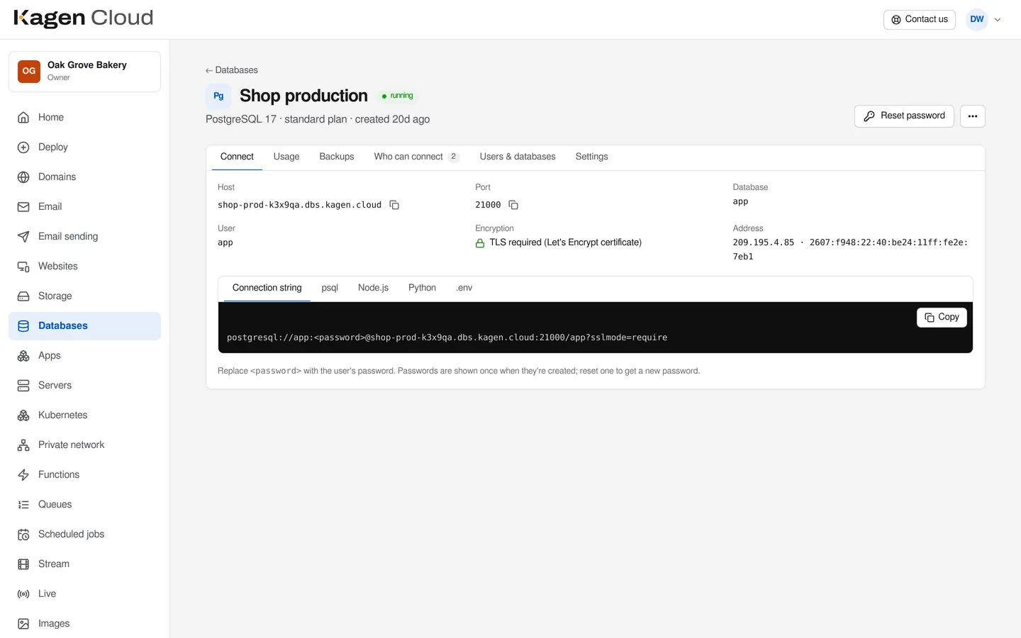A PostgreSQL database's page in the portal: connection details, storage and connections used, and a ready-to-copy connection string