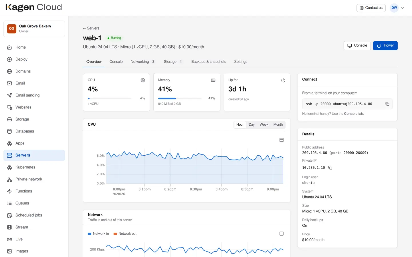 A server's page in the portal: running Ubuntu 24.04, with CPU, memory and network charts and its SSH command