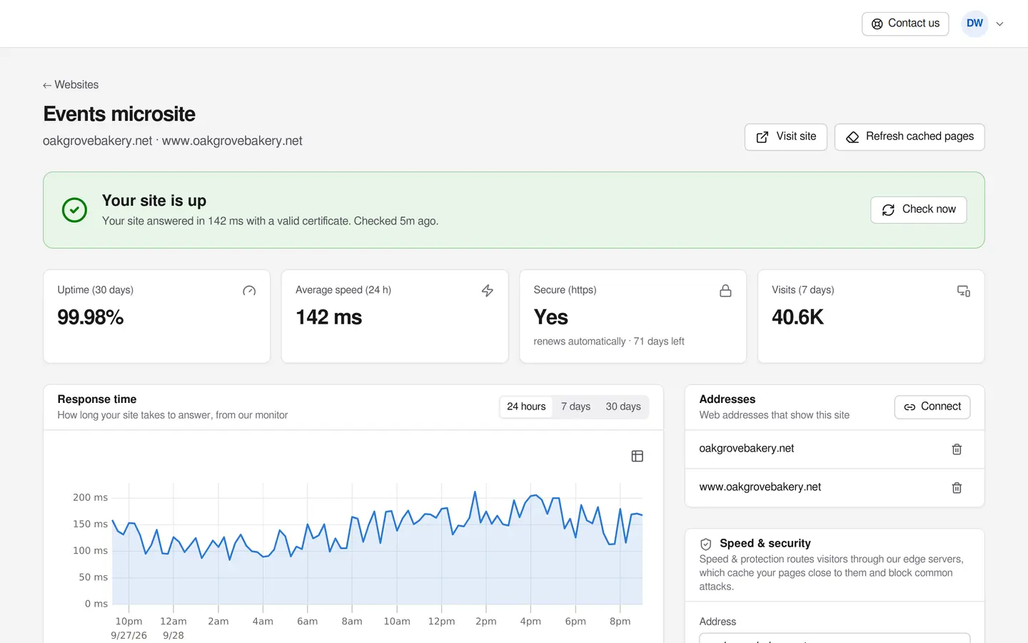 A website's page in the portal with its uptime, speed and the Speed & Protection switches